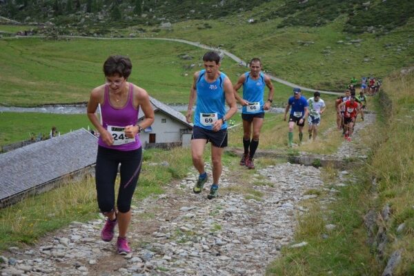 DSC_0184-Stettiner-Cup-2015
